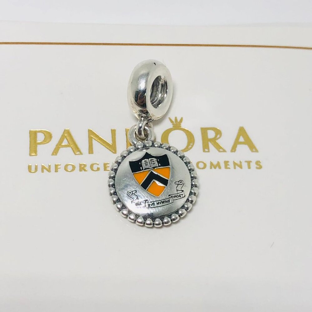 ✨🔥Pandora Princeton University CHARM